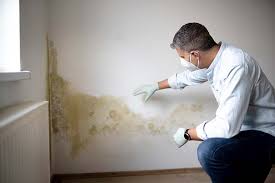 Best Mold Remediation for Healthcare Facilities in Fenton, MO